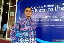 DKP Bangka Belitung dorong investor kembangkan industri tambak udang