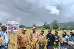 Kodim 1702 dan Pemkab Jayawijaya kolaborasi sukseskan ketahanan pangan