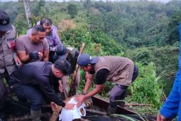 BKSDA Sumbar evakuasi satu anak harimau terjerat di Agam