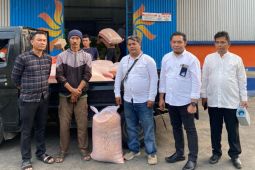 Bulog Rejang Lebong serap jagung petani 39,45 ton