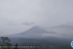 PVMBG: Aktivitas Gunung Semeru masih tinggi dan statusnya tetap Awas