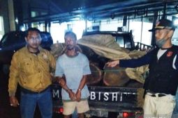 Polhutmob Perhutani tangkap seorang pelaku pembalakan liar