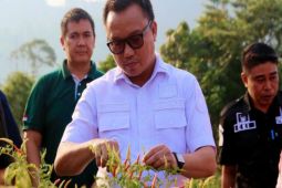 Pemkab Morut tetap konsisten terhadap sektor pertanian