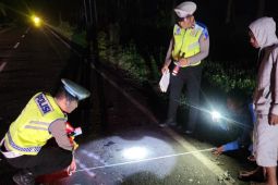 Motor tabrak motor di Simalungun, dua pengendara tewas