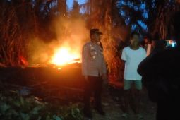 Polres Langkat bertindak cepat menindaklanjuti vidio viral emak-emak bakar gubuk narkoba
