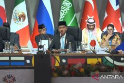 AI gains must be equal, including raw-material supplier nation: Gibran