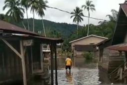 Sungai Batang Toru meluap, belasan rumah di Tapanuli Selatan terendam banjir