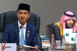 Diplomasi Indonesia di KTT G20 Afrika Selatan