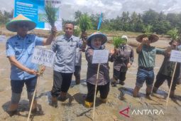 Kemenko Pangan dorong Kolaka optimalkan potensi pertanian dukung swasembada