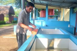 Menumbuhkan kesadaran publik untuk menyelamatkan penyu