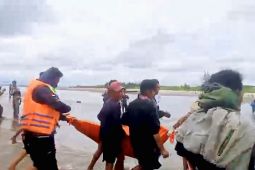 Korban serangan buaya di Pulau Hanaut ditemukan