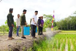 Gubernur Lampung ajak peternak dan petani untuk hasilkan pakan mandiri