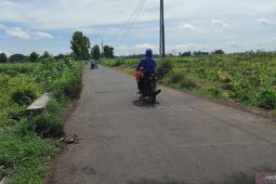 Dinas PUPP Situbondo gunakan DBHCHT Rp13,5 miliar untuk infrastruktur