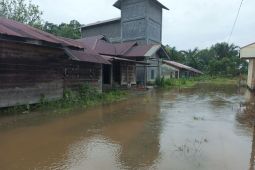 BPBA: 2.591 jiwa terdampak banjir di Aceh Singkil