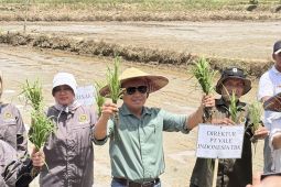 PT Vale dorong transformasi pertanian dukung ketahanan pangan nasional