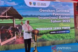 Khofifah: Maksimalkan sinergi untuk capai swasembada daging nasional