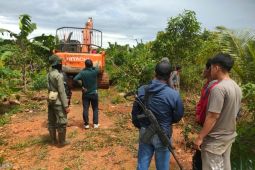 Kemenhut amankan perambah hutan dengan alat berat di TN Kutai