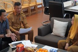 BPJS Kesehatan: Kota Palu memenuhi syarat penerima UHC Award 2026