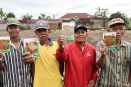 Pemkot Pematangsiantar beri bibit cabai merah kepada petani kendalikan inflasi