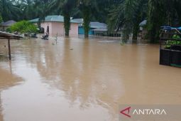 Banjir Tapanuli Selatan semakin parah, evakuasi warga di Simataniari gunakan perahu