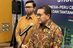 Terkait impor beras ilegal di Aceh, Mendag Budi: Stok dalam negeri masih banyak