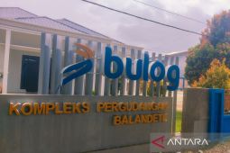 Bulog serap 39 ribu ton GKP petani di Kolaka hingga November 2025