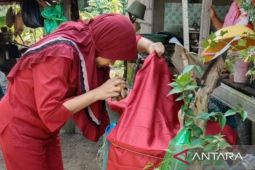 Dinkes Belitung berhasil turunkan kasus demam berdarah