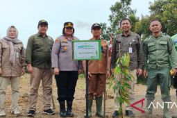 BPDAS Baturusa Cerucuk Babel menanam ribuan batang pohon buah