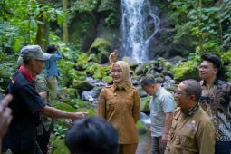 Wagub Lampung sebut Desa Way Kalam punya potensi ekonomi karbon