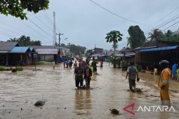 Banjir dan Longsor menerjang 11 Kecamatan di Tapanuli Selatan, 8 warga meninggal