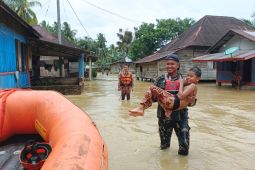 Bencana alam di Pasaman Barat meluas jadi 10 kecamatan