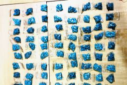 Polisi gagalkan pengiriman 2.225 butir ekstasi di Batam