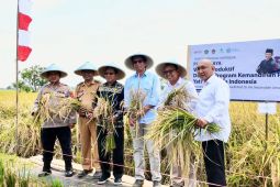 Kemenag dorong Wakaf produktif pertanian sebagai motor kemandirian pangan nasional