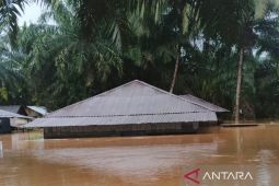 SHI soroti kerusakan ekologis Batang Toru dan peringatkan bencana lebih besar