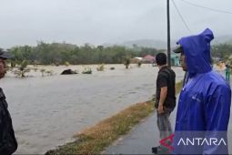 Banjir dan Longsor Tapanuli Selatan tewaskan 15 warga, 3.000 KK mengungsi