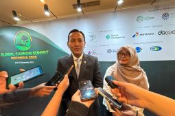 Govt pushes carbon scheme to restore 12 million hectares critical land