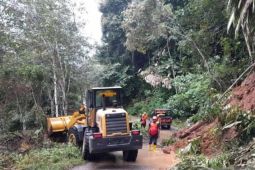 Update bencana Aceh, jalan lintasan Bireuen ke Takengon putus total