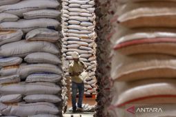 Dirut Bulog tegaskan stok beras aman tak perlu impor