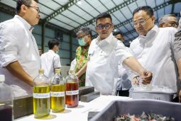 Tekan timbunan harian, Pemprov Banten tegaskan pengelolaan sampah modern