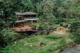 Festival akhir tahun Enchanting Valley: Pesta musik dan kuliner liburan terbaik