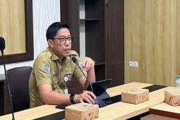 Pemprov Sulbar gelar rencana aksi daerah penyandang disabilitas