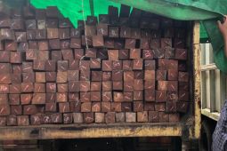 Pengangkut ratusan kayu ulin ilegal ditangkap di Kukar