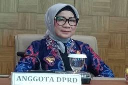 Ketua Komisi I DPRD Barut apresiasi dedikasi Guru PAUD TK