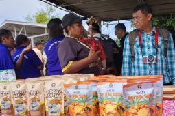 Pemkab Jayapura membangun sembilan rumah produksi dorong UMKM naik kelas