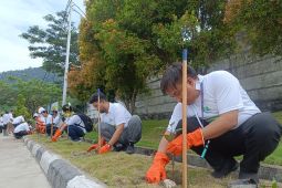 PLN Papua dan Papua Barat menanam 2.500 bibit pohon di Holtekamp Jayapura