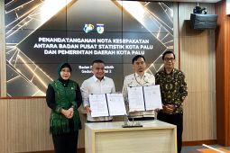 Pemkot Palu-BPS kerja sama pengembangan data statistik