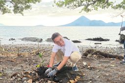PLN  tanam mangrove dan bersih pantai di Somahode
