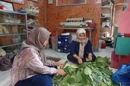 Pertamina Patra Niaga RJBB hadirkan inovasi pemberdayaan unik Kampung Sirih