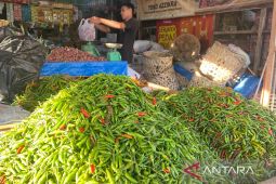 Harga cabai rawit merah Rp67.300 per kg, telur ayam ras Rp32.750 per kg