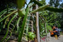 Penguatan pelestarian keanekaragaman hayati di Bandung